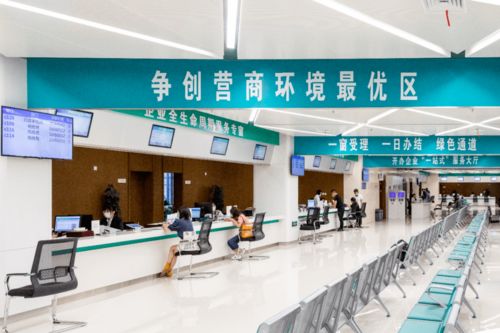 打造'溧即辦'黨建新品牌，讓服務(wù)窗口成為'人心窗口'